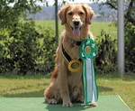 Bundessiegerprüfung, Obedience Klasse 2, 3. Platz "vorzüglich"