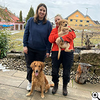 &copy; Working Golden Retriever of Enchanted Garden